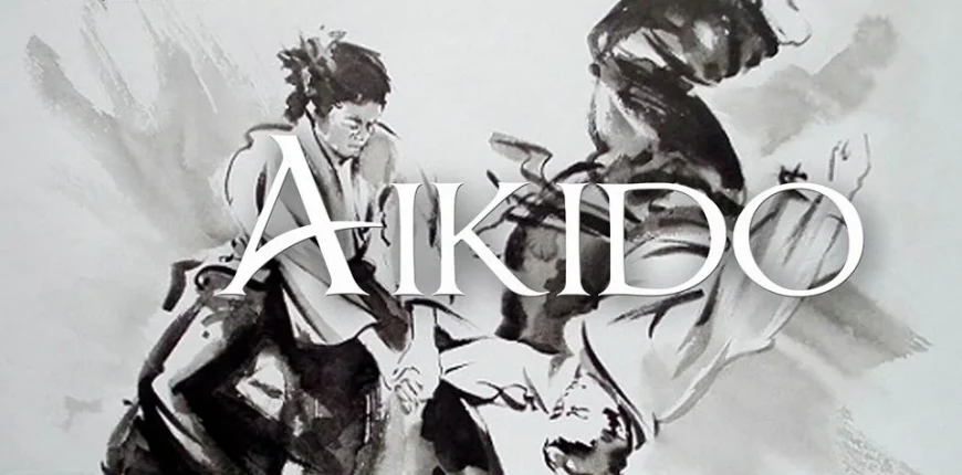 aikido